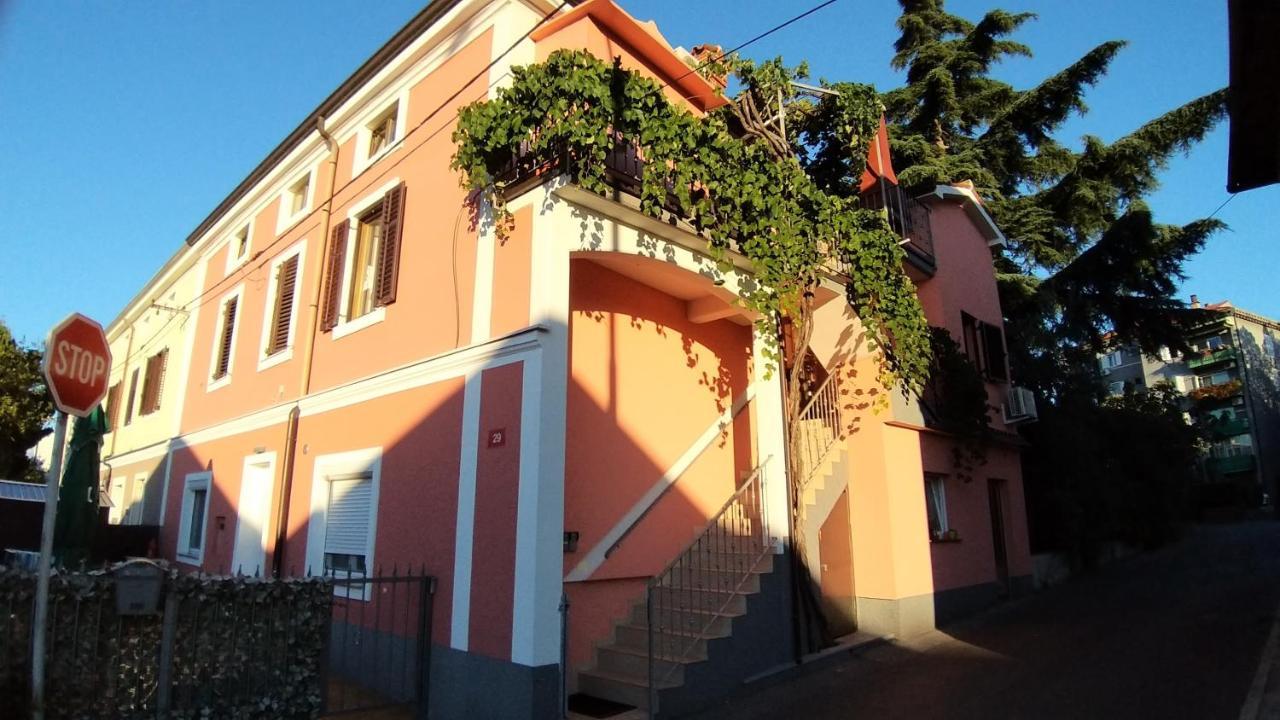 Apartmaji Soncek 伊佐拉 外观 照片