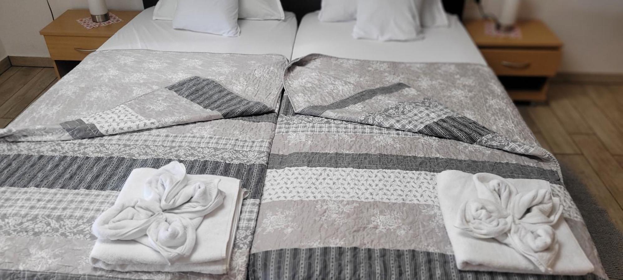 Apartmaji Soncek 伊佐拉 外观 照片