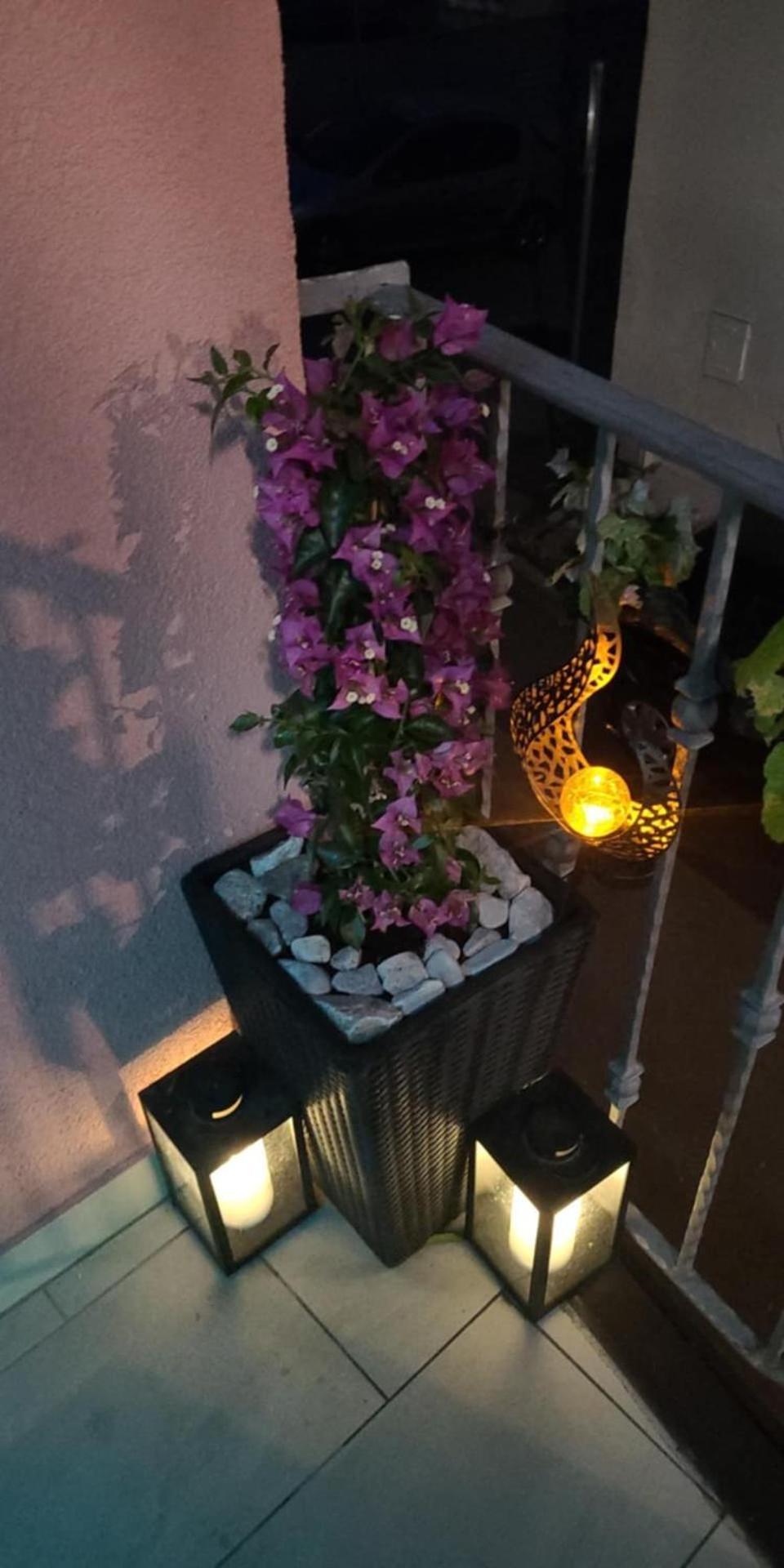 Apartmaji Soncek 伊佐拉 外观 照片