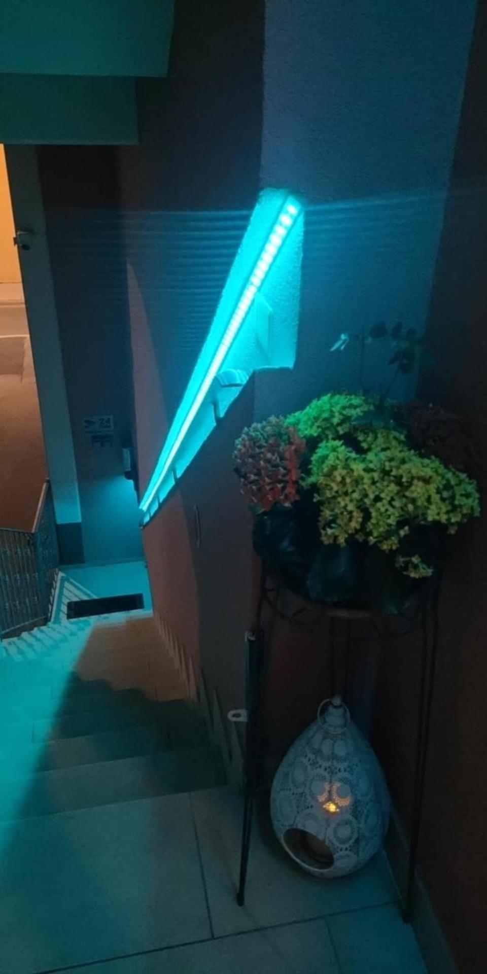 Apartmaji Soncek 伊佐拉 外观 照片